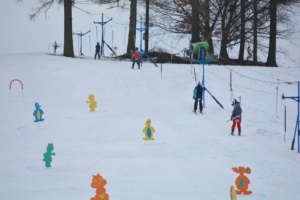 karneval_na_snehu_2017-00