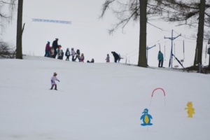 karneval_na_snehu_2017-29